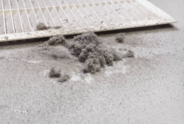 Best Best Air Duct Cleaning Near Me  in Potterville, MI